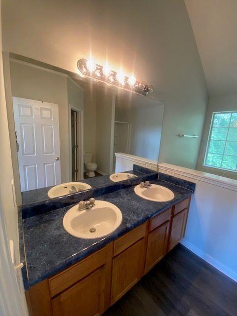 bathroom with hardwood / wood-style flooring, lofted ceiling, toilet, and vanity