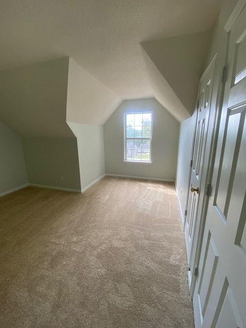 additional living space with light carpet, vaulted ceiling, and a textured ceiling