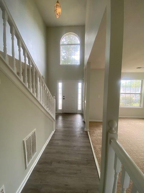 entryway featuring dark wood-type flooring and a high ceiling