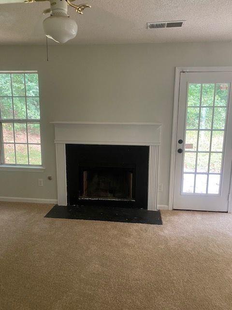 room details with ceiling fan, carpet flooring, and a textured ceiling