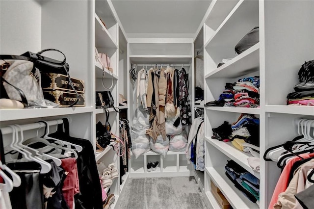 view of walk in closet