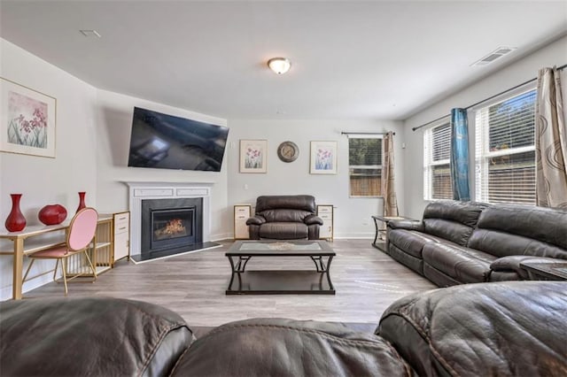 living room featuring hardwood / wood-style flooring