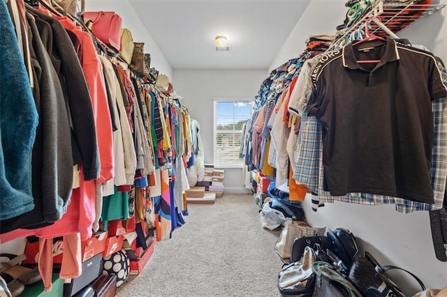 spacious closet featuring carpet flooring