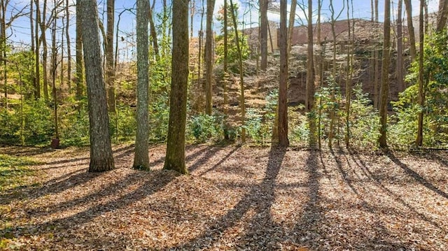 view of nature featuring a forest view