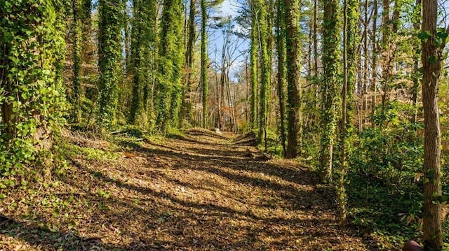 view of local wilderness with a wooded view