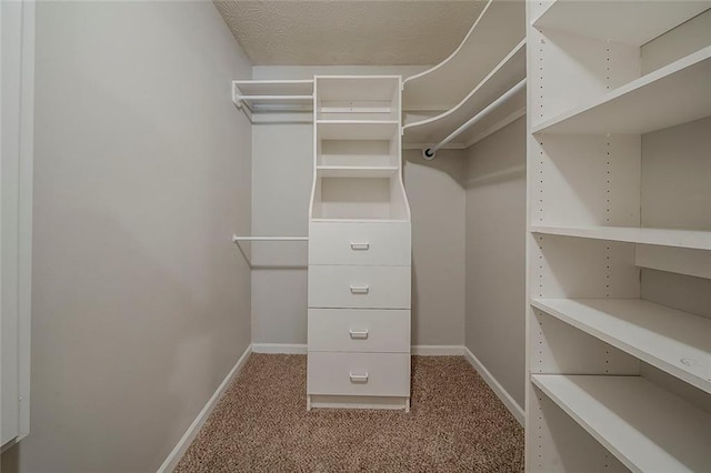 walk in closet featuring carpet