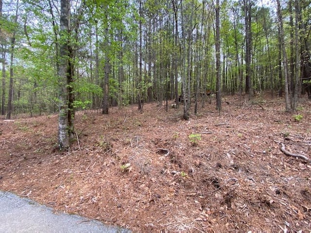 1812 Kings Row, Conyers GA, 30012 land for sale