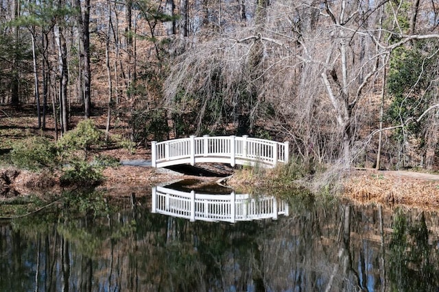 view of yard with a wooded view and a water view