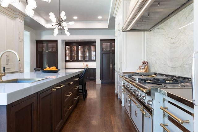 kitchen featuring a sink, extractor fan, stainless steel gas stovetop, a raised ceiling, and dark wood-style flooring