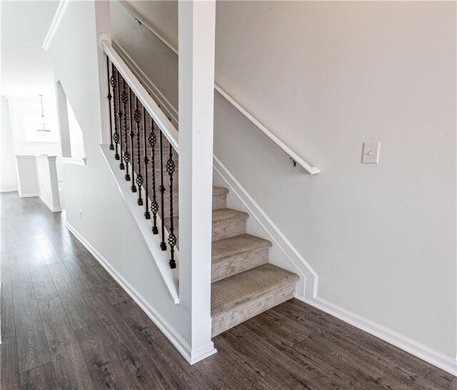 staircase featuring wood-type flooring