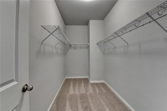 walk in closet with carpet