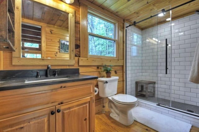 28452 Morganton Hwy, Suches, GA 30572 - full bath featuring healthy amount of natural light, vanity, toilet, a shower stall, and wood ceiling
