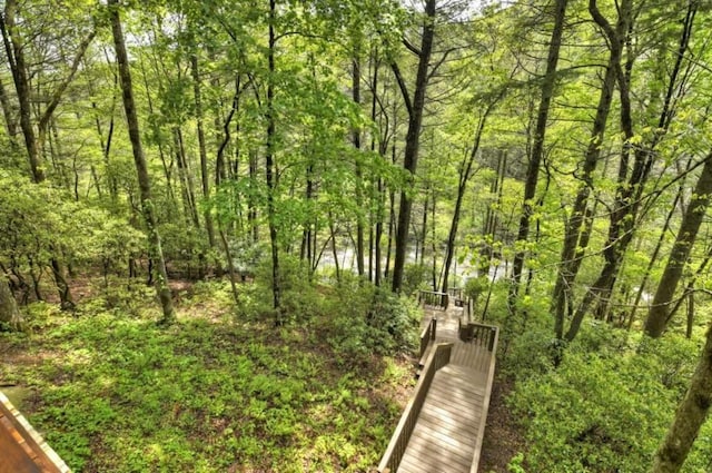 28452 Morganton Hwy, Suches, GA 30572 - view of property's community featuring a view of trees