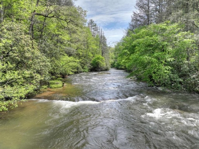 28452 Morganton Hwy, Suches, GA 30572 - water view with a forest