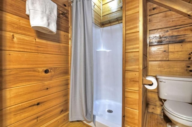 28452 Morganton Hwy, Suches, GA 30572 - bathroom featuring toilet and a stall shower