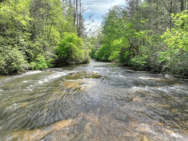 28452 Morganton Hwy, Suches, GA 30572 - water view featuring a heavily wooded area
