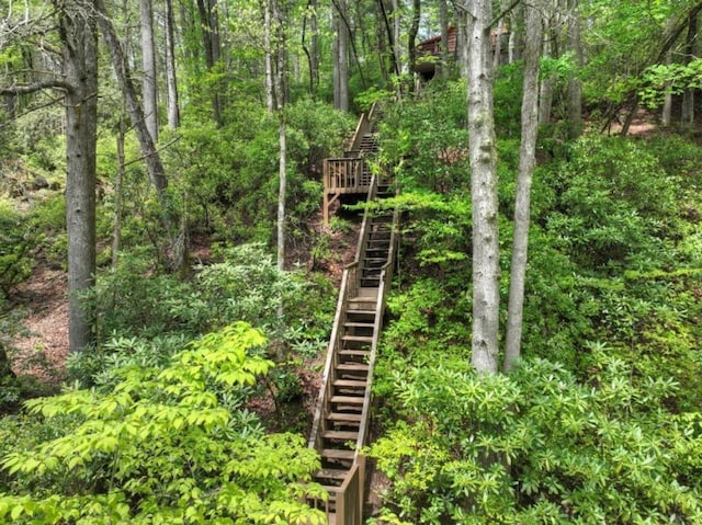 28452 Morganton Hwy, Suches, GA 30572 - view of wooded area