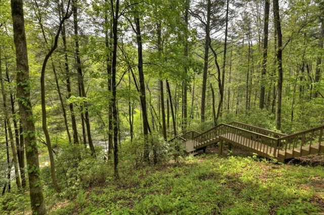 28452 Morganton Hwy, Suches, GA 30572 - view of wooded area