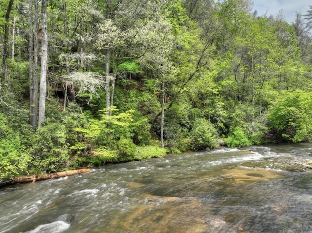28452 Morganton Hwy, Suches, GA 30572 - view of woods