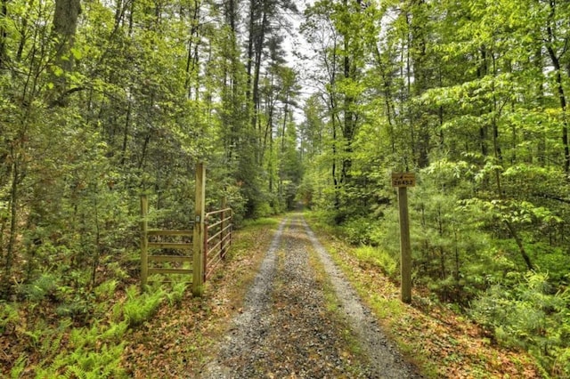 28452 Morganton Hwy, Suches, GA 30572 - view of road with a wooded view