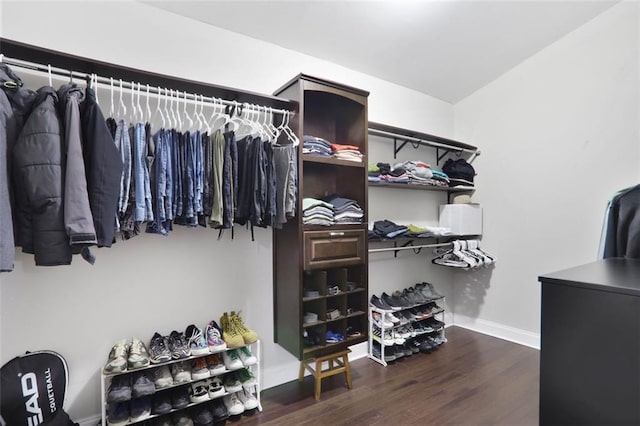 walk in closet featuring wood finished floors