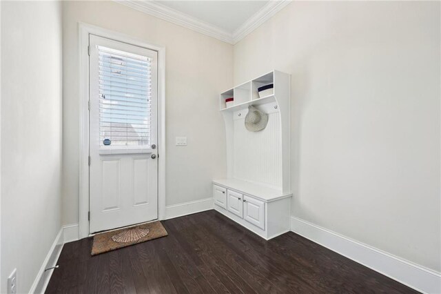 mudroom with crown molding and dark wood-type flooring