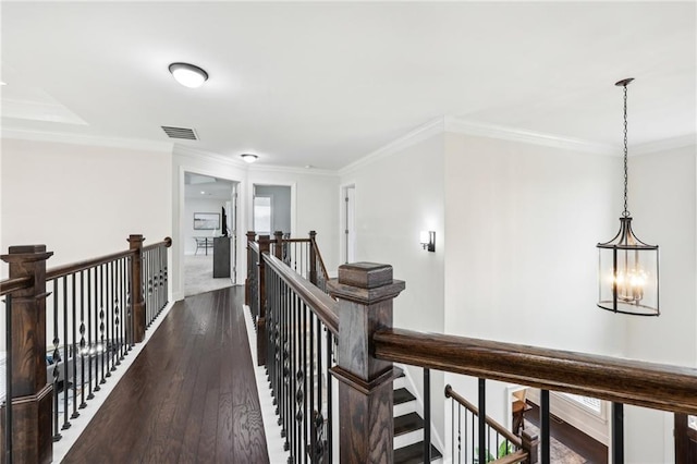 hall with ornamental molding, dark wood-type flooring, and a chandelier