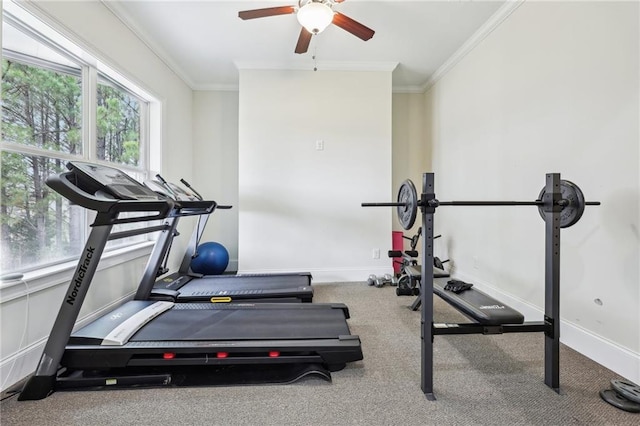 exercise room featuring crown molding and ceiling fan