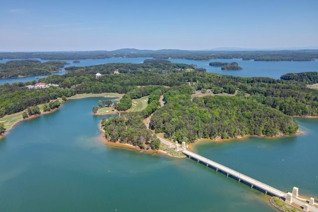 birds eye view of property with a water view and a forest view