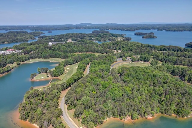 birds eye view of property featuring a water view and a forest view