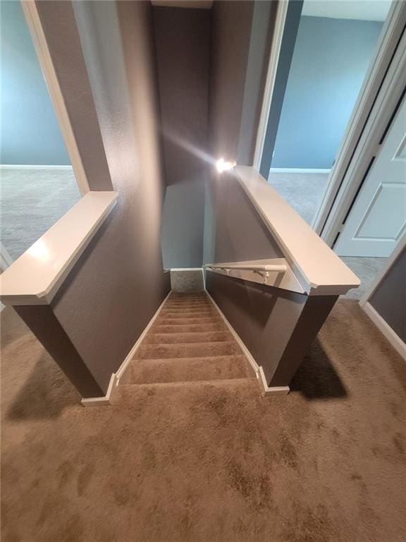 staircase with carpet