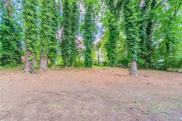 view of undeveloped land