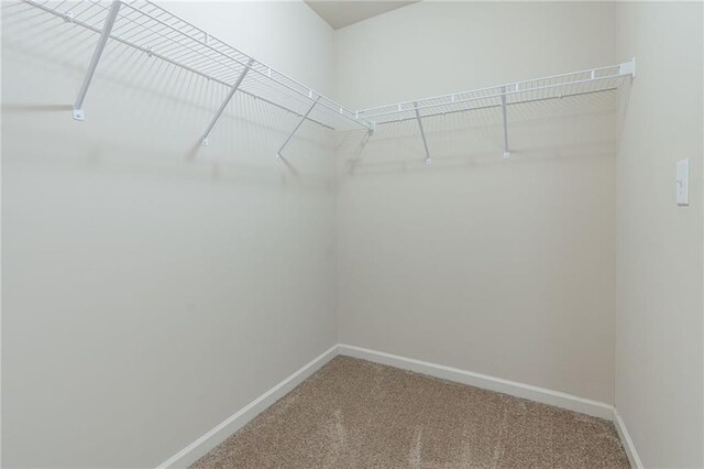 392 Dublin Way, Dallas, GA 30132 - spacious closet with carpet flooring