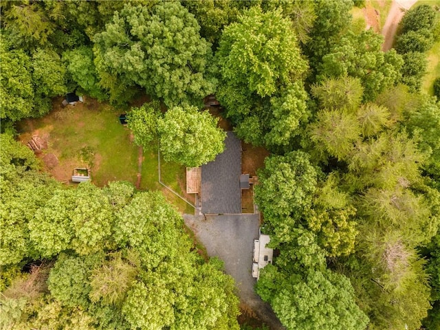 67 Gatewood Rd, Ellijay, GA 30540 - aerial view of property and surrounding area
