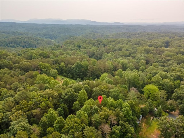 67 Gatewood Rd, Ellijay, GA 30540 - drone / aerial view of a heavily wooded area and a mountainous background