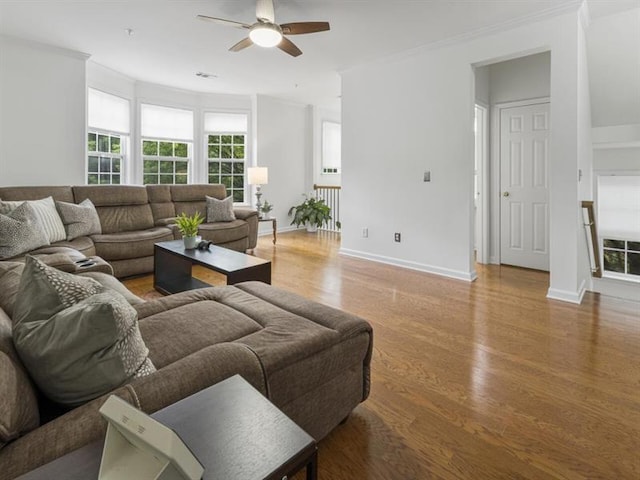 living room featuring ceiling fan, ornamental molding, and wood-type flooring