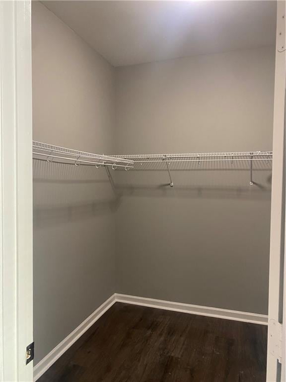 spacious closet featuring hardwood / wood-style flooring