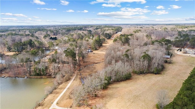 birds eye view of property with a water view and a view of trees