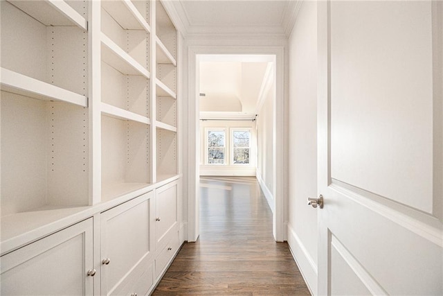 hall with crown molding and dark wood-type flooring