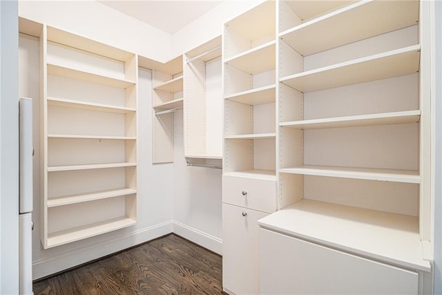 walk in closet featuring dark wood-type flooring