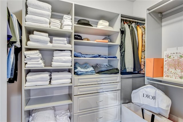view of walk in closet