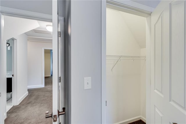 view of closet