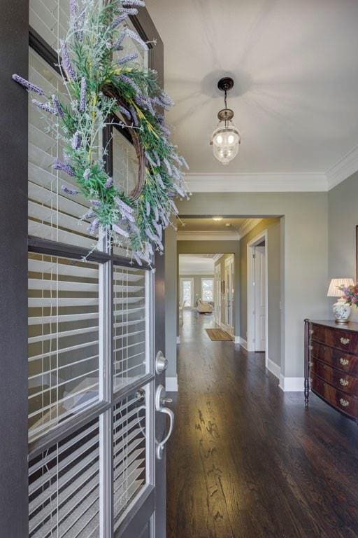 entryway with crown molding and dark wood-type flooring