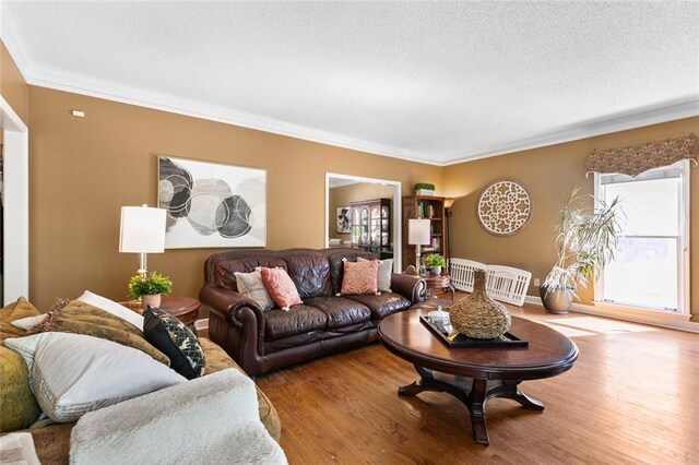 living room featuring crown molding, a textured ceiling, and wood finished floors