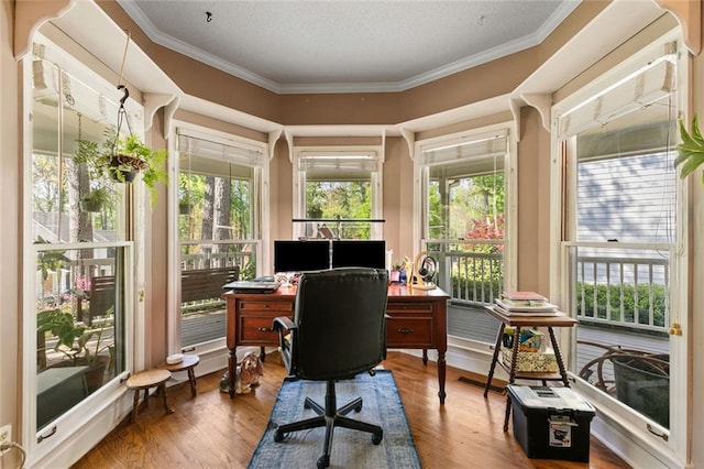office space with ornamental molding and wood finished floors