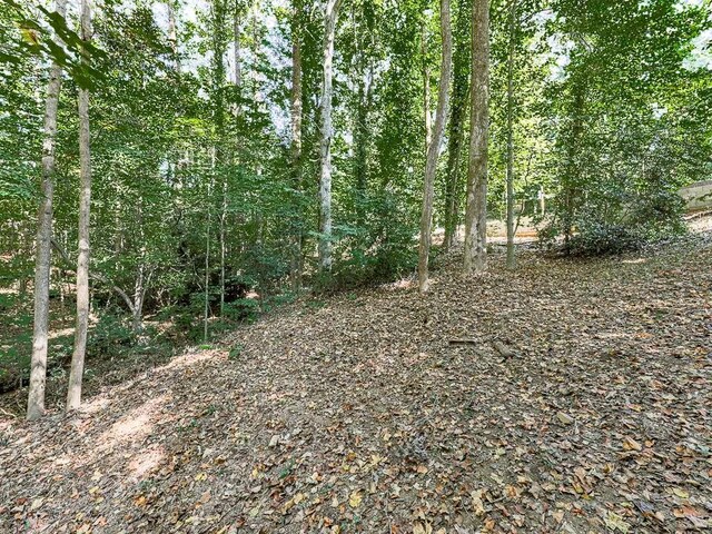 1564 Bubbling Creek Rd, Brookhaven, GA 30319 - view of local wilderness