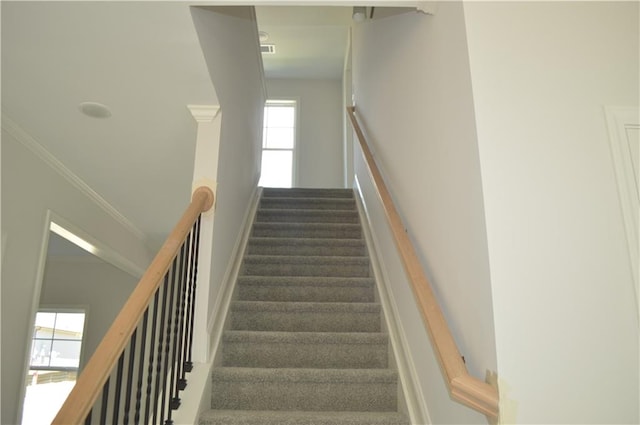 staircase featuring ornamental molding and carpet