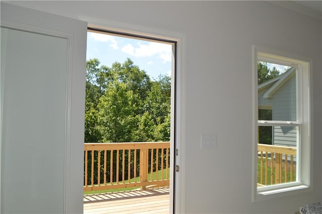 entryway featuring a wealth of natural light