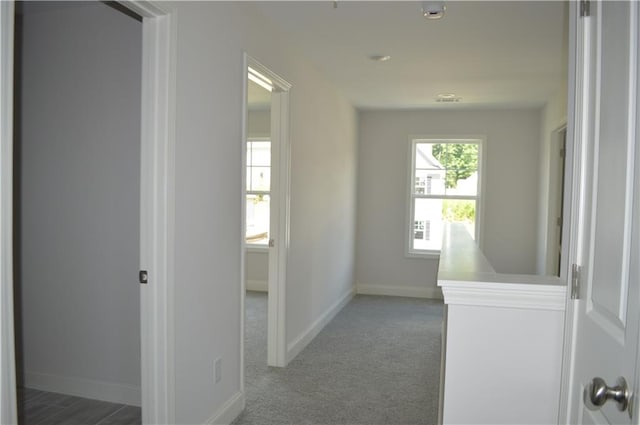 corridor with carpet floors