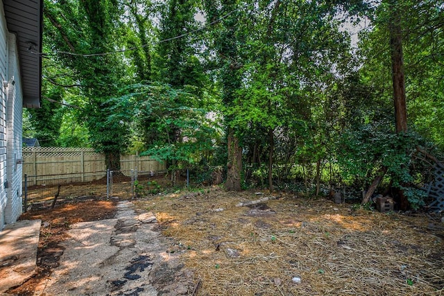5640 Redan Cir, Stone Mountain, GA 30088 - view of yard